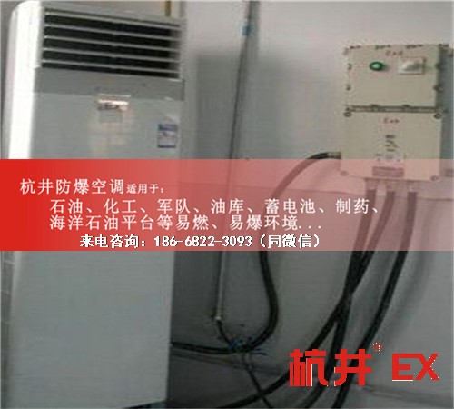 電池儲(chǔ)存室防爆空調(diào)機(jī)案例圖